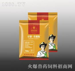 仔豬佳能肽 專注黃白痢防治，守護豬群健康源動力